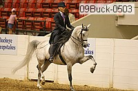09buck-0503 proof