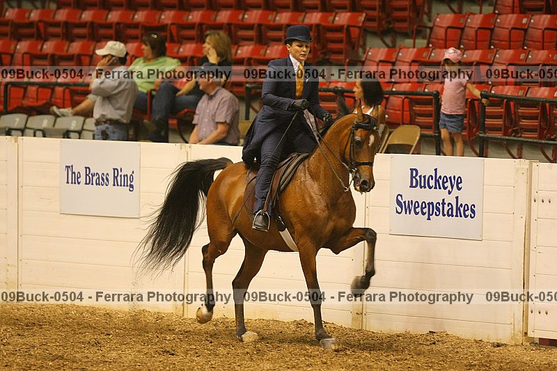 Proof 09buck-0504