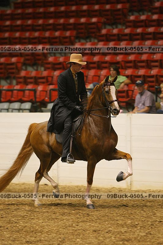 Proof 09buck-0505