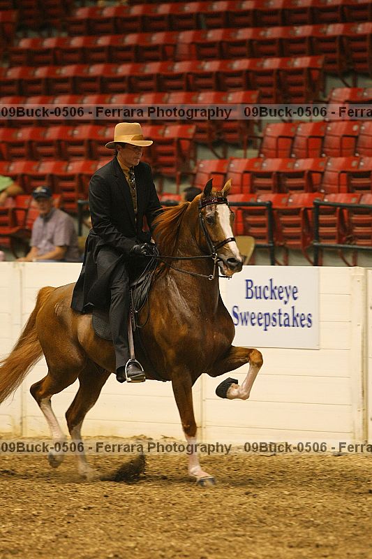 Proof 09buck-0506
