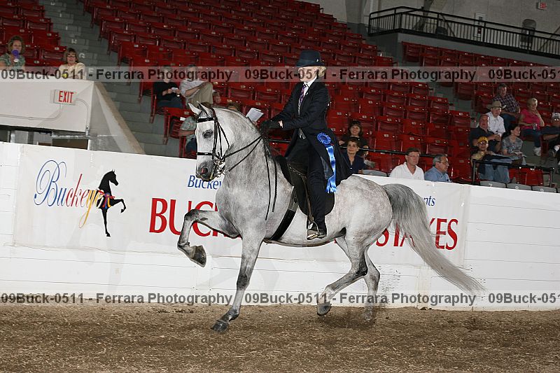 Proof 09buck-0511