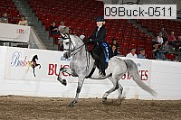 09buck-0511 proof