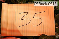 09buck-0513 proof