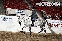 09buck-0515 proof