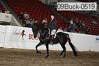 09buck-0519 proof