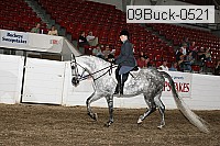 09buck-0521 proof