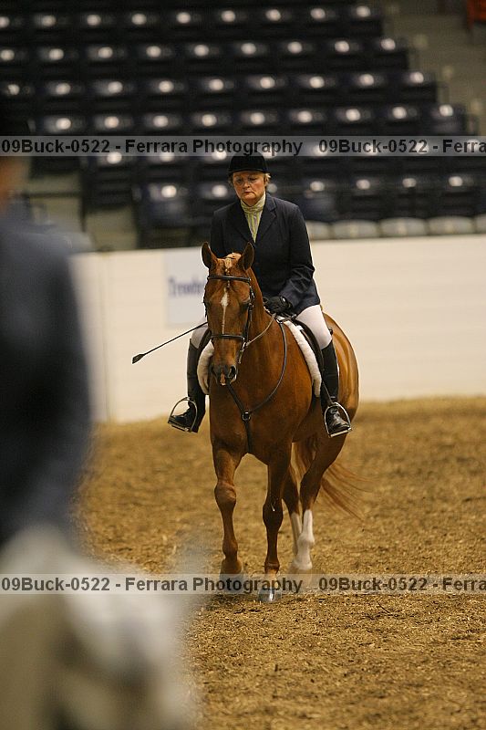 Proof 09buck-0522