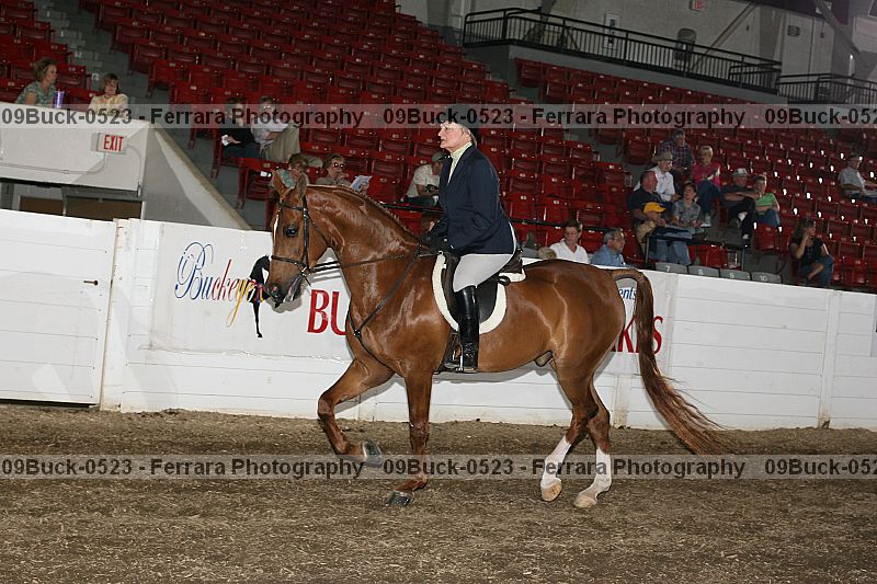 Proof 09buck-0523