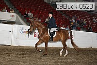 09buck-0523 proof