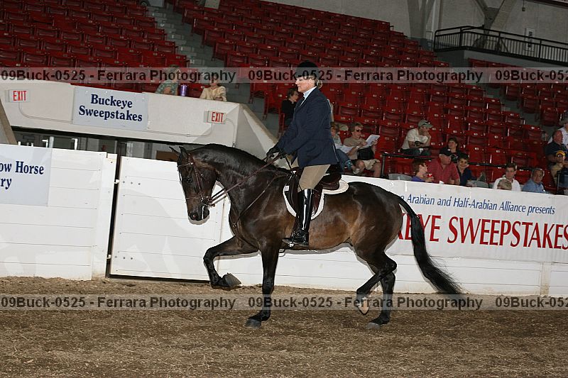 Proof 09buck-0525