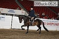 09buck-0525 proof