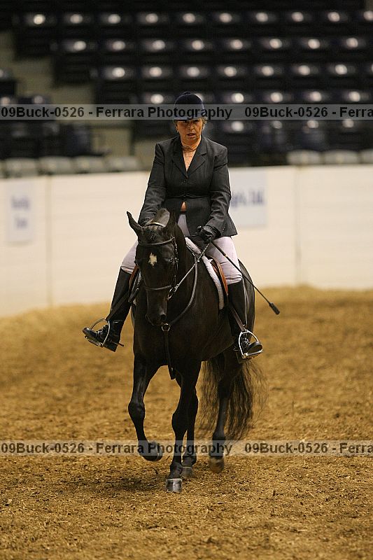 Proof 09buck-0526