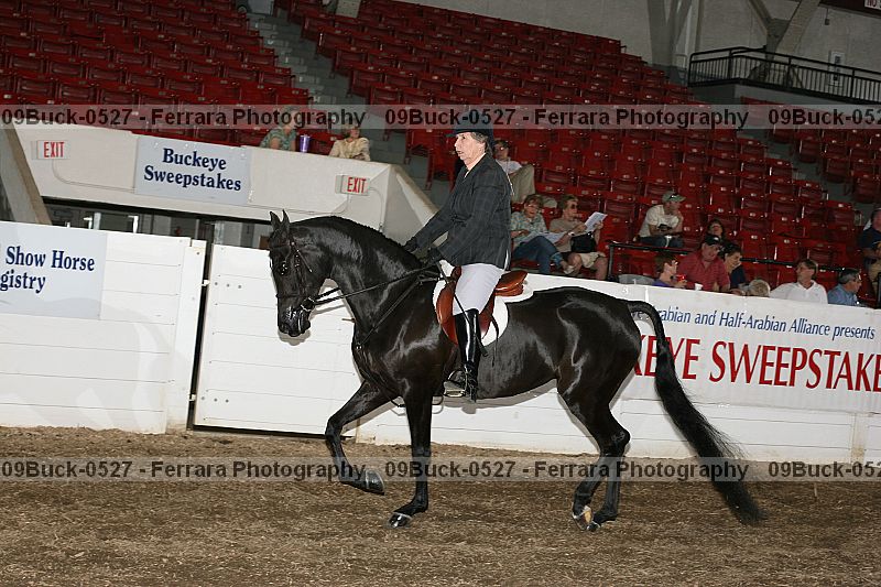 Proof 09buck-0527