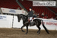 09buck-0527 proof