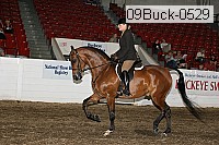 09buck-0529 proof