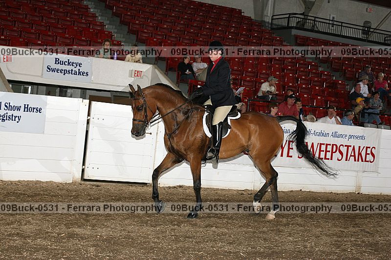 Proof 09buck-0531