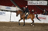 09buck-0531 proof