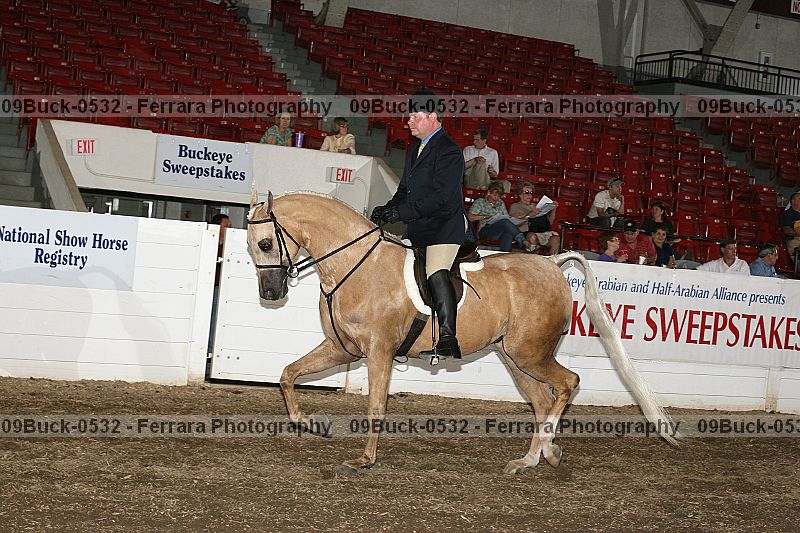 Proof 09buck-0532