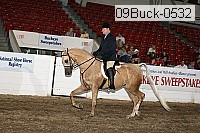 09buck-0532 proof