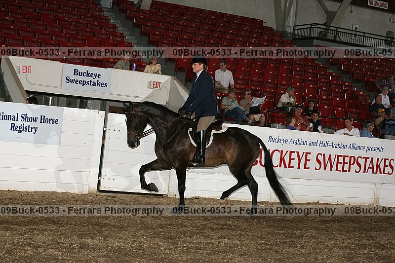 Proof 09buck-0533
