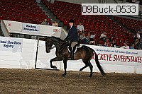 09buck-0533 proof