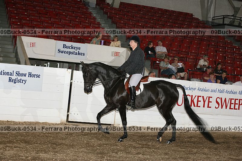 Proof 09buck-0534