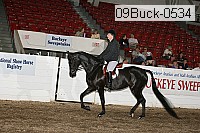 09buck-0534 proof