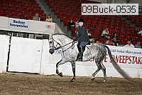 09buck-0535 proof