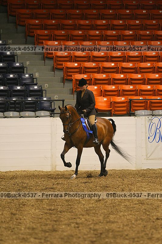 Proof 09buck-0537