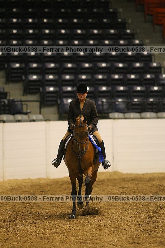 Proof 09buck-0538