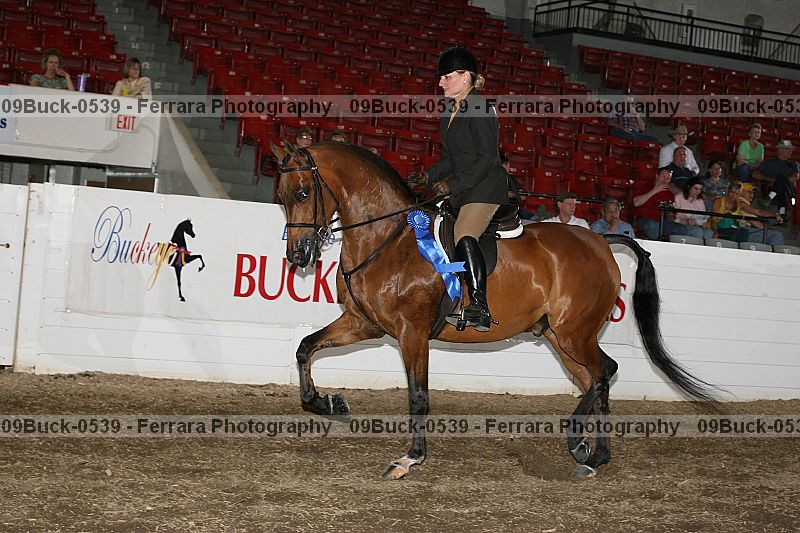 Proof 09buck-0539