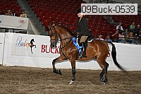 09buck-0539 proof