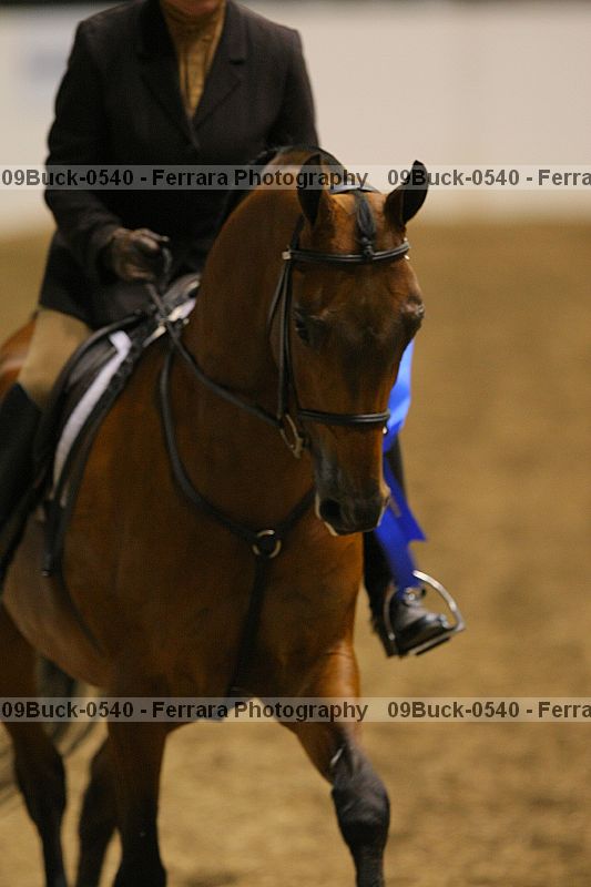 Proof 09buck-0540