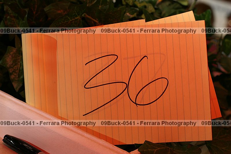 Proof 09buck-0541