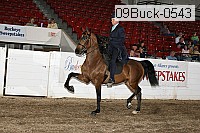 09buck-0543 proof