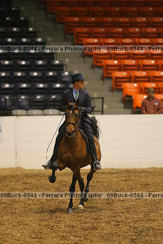 Proof 09buck-0544