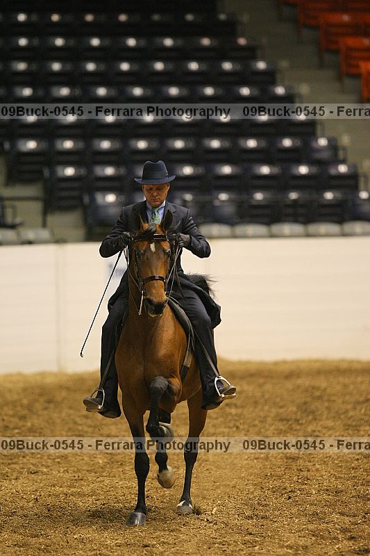 Proof 09buck-0545