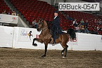 09buck-0547 proof
