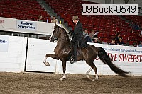 09buck-0549 proof