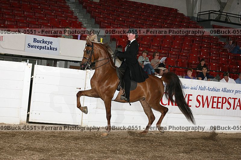 Proof 09buck-0551