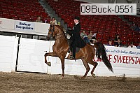 09buck-0551 proof