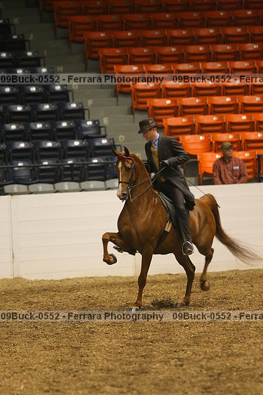 Proof 09buck-0552