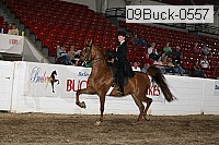 09buck-0557 proof