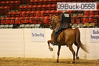 09buck-0558 proof