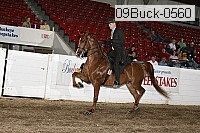 09buck-0560 proof
