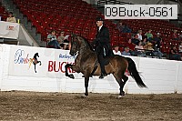 09buck-0561 proof