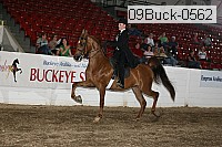 09buck-0562 proof
