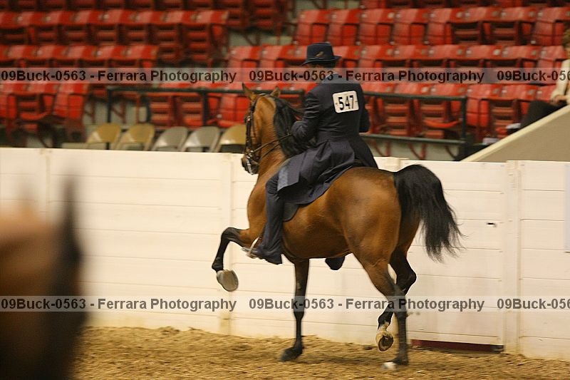 Proof 09buck-0563