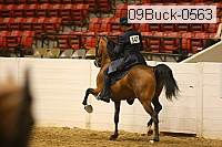 09buck-0563 proof