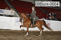 09buck-0564 proof